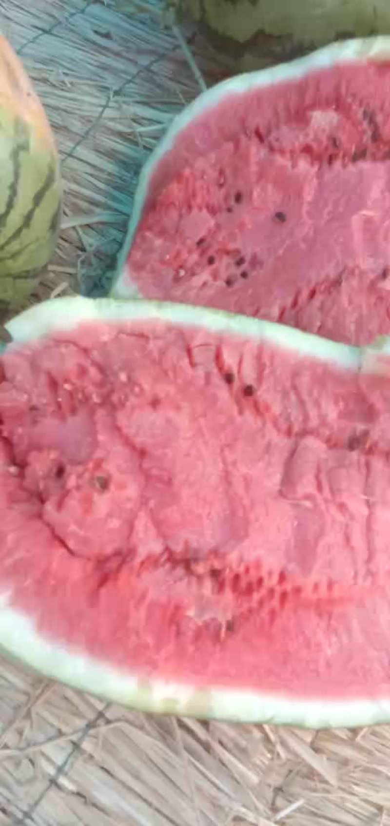 冠龙