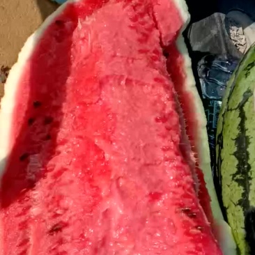 冠龙