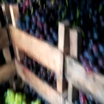 巨峰葡萄