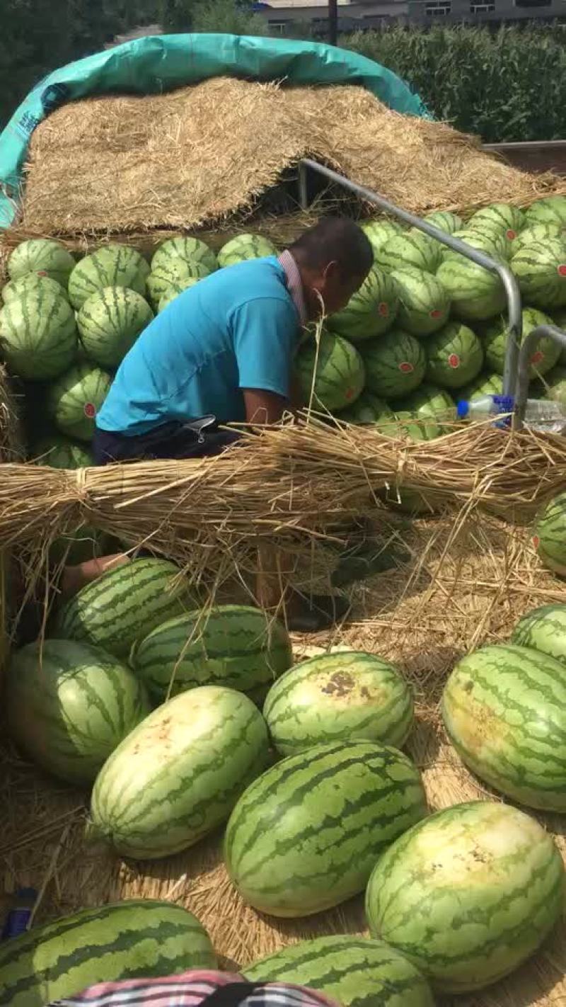 内蒙，通辽沙漠西瓜！