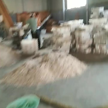 大量虾皮分拣中