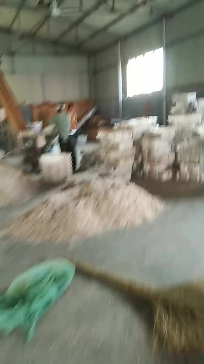 大量虾皮分拣中