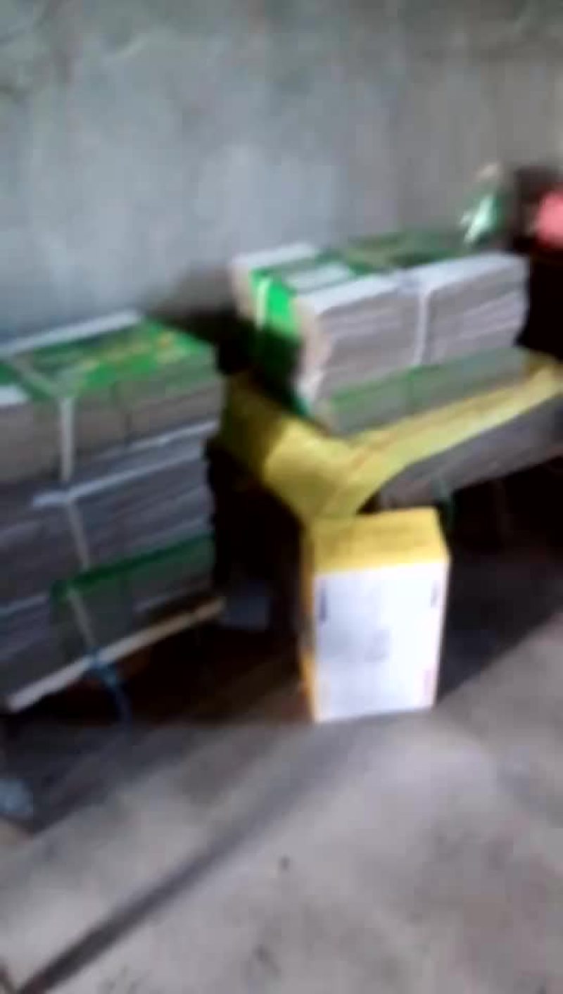 常州焦溪翠冠梨