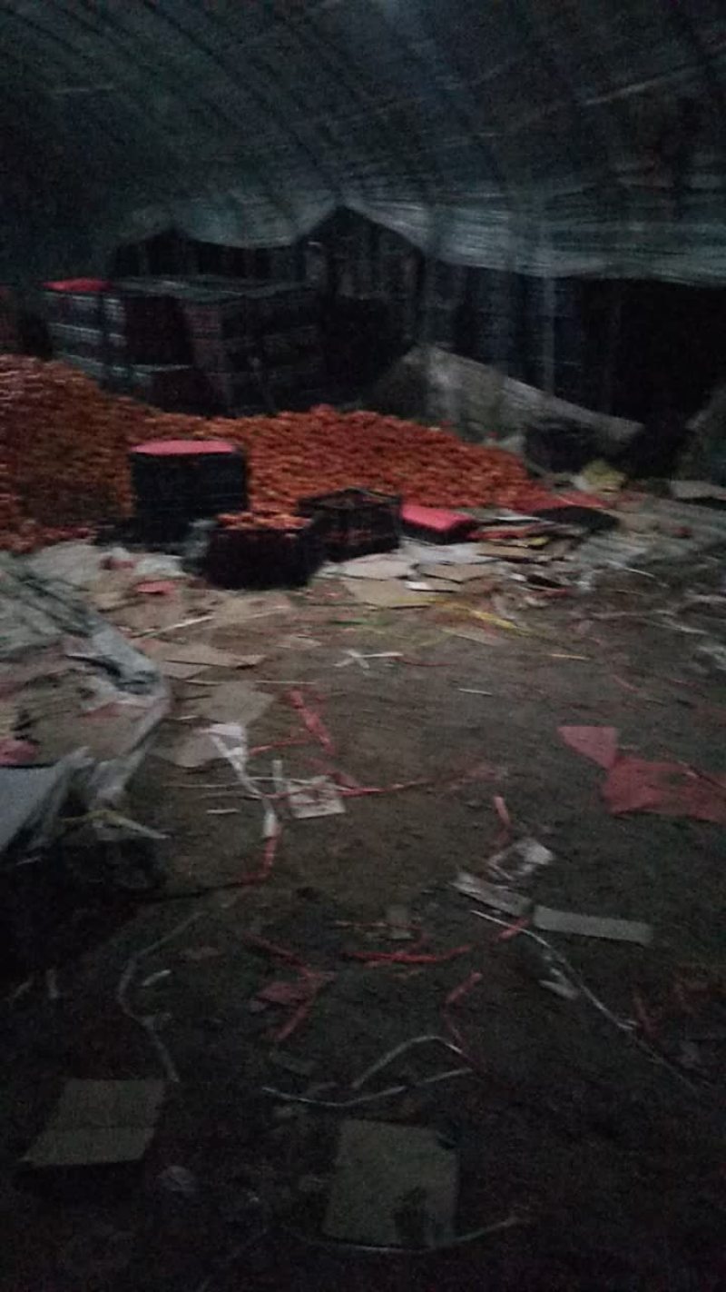 大红硬果