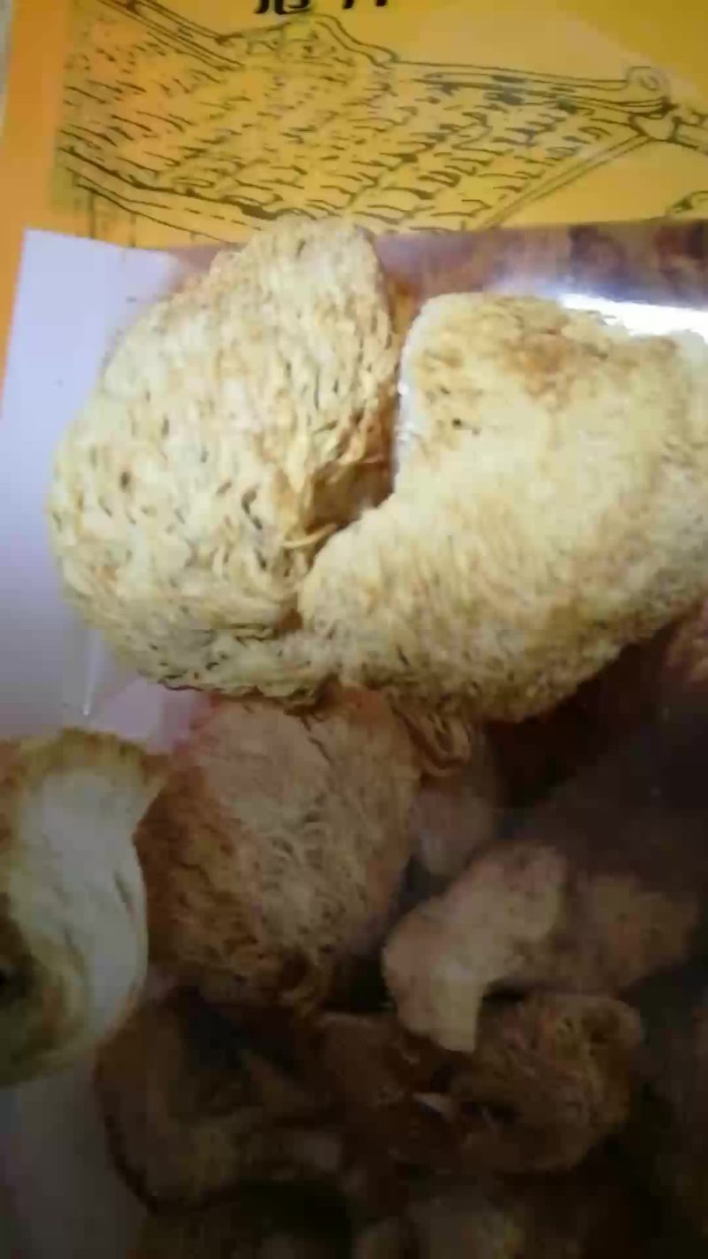 猴头菇