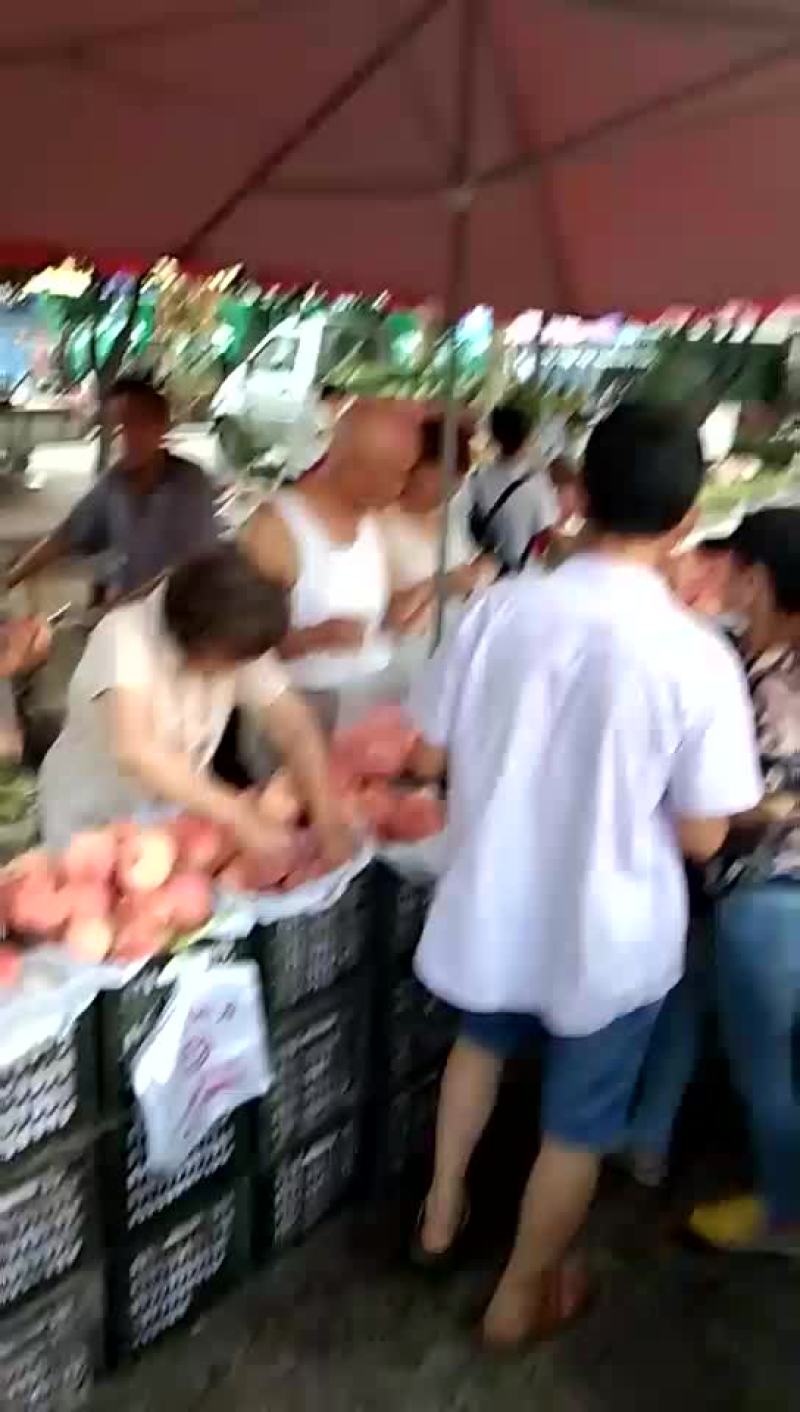 毛桃