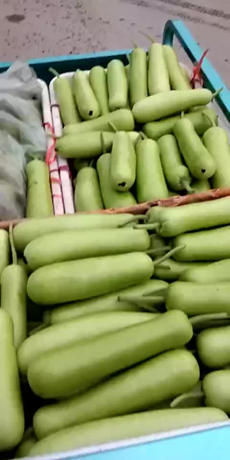 瓠子