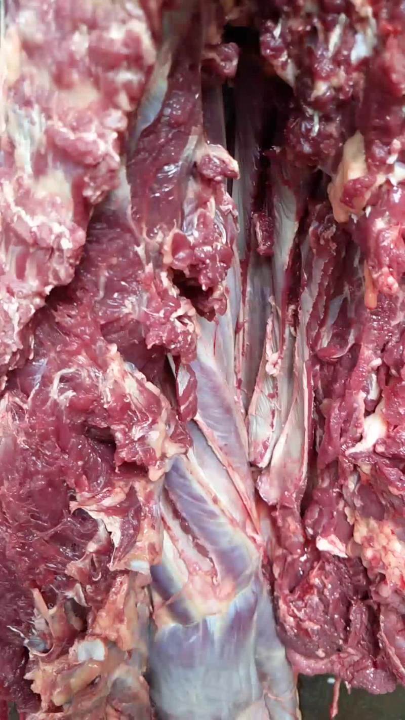 驴肉