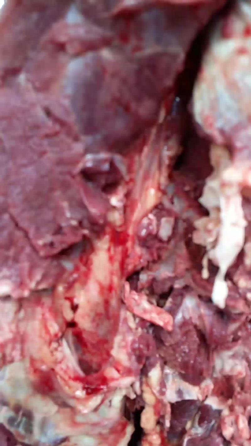 驴肉
