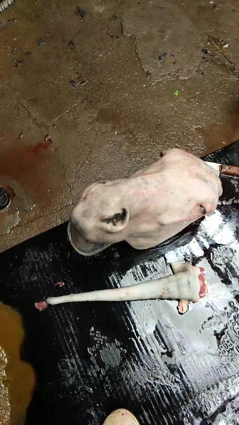 驴肉