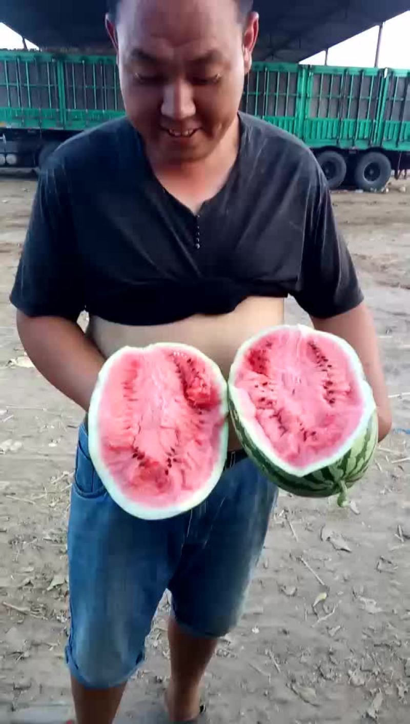 宁夏石头西瓜