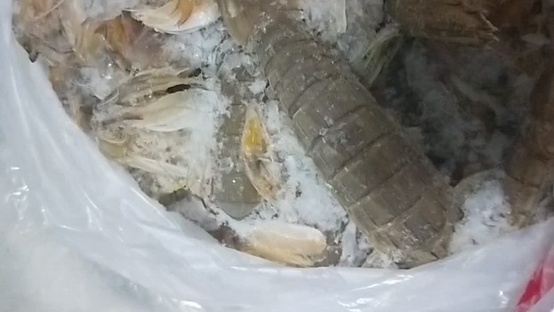 冻皮皮虾
