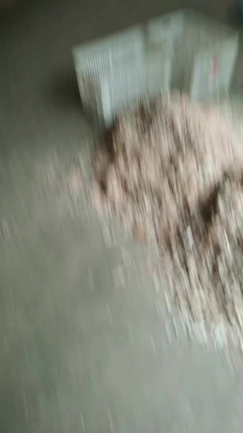 虾皮加工中心