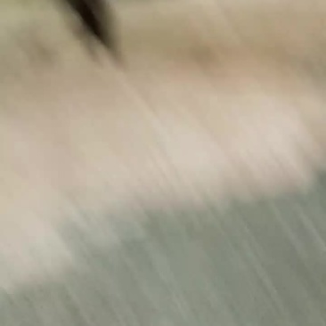 虾皮加工中心