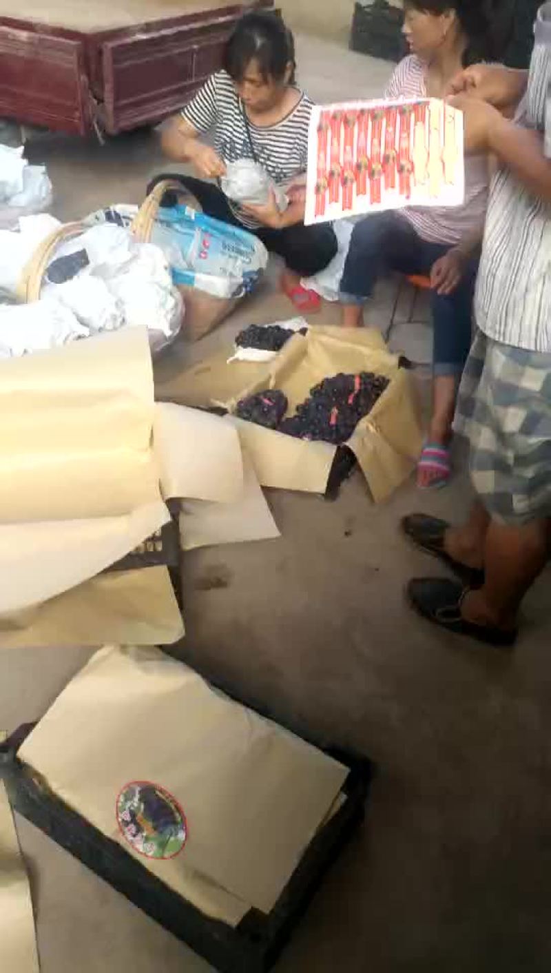 巨峰葡萄