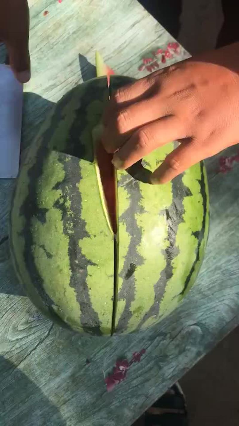 通辽金成5，质量保证