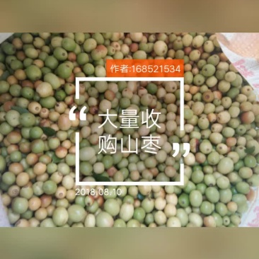 山枣