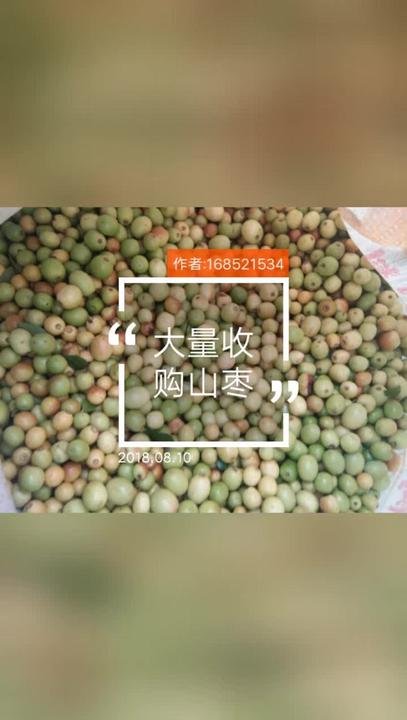 山枣