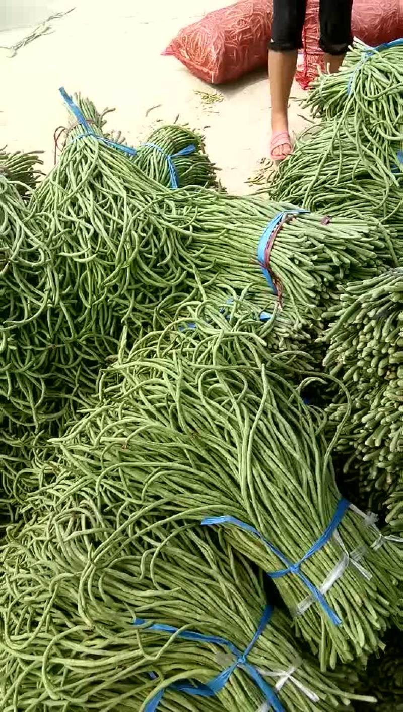 长豆角