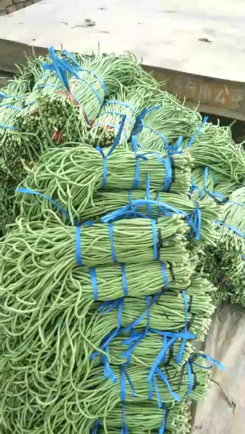 长豆角