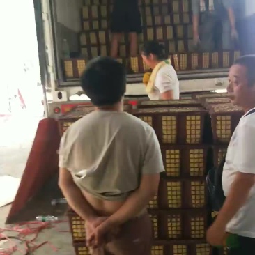 艳红辣椒量大欢迎采购
