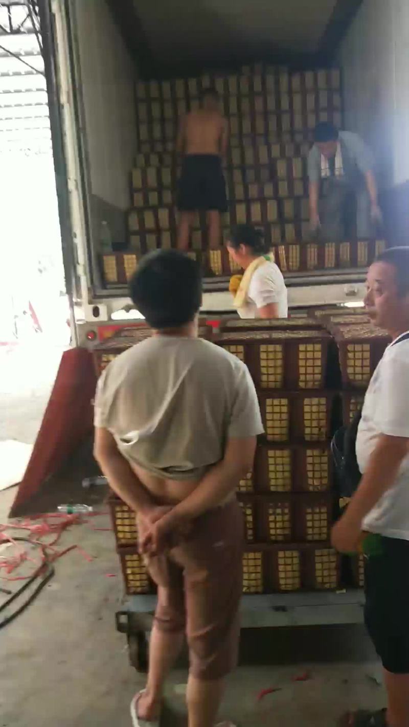 艳红辣椒量大欢迎采购