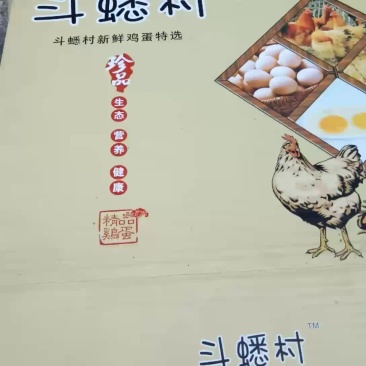 斗蟋村牌无抗鸡蛋