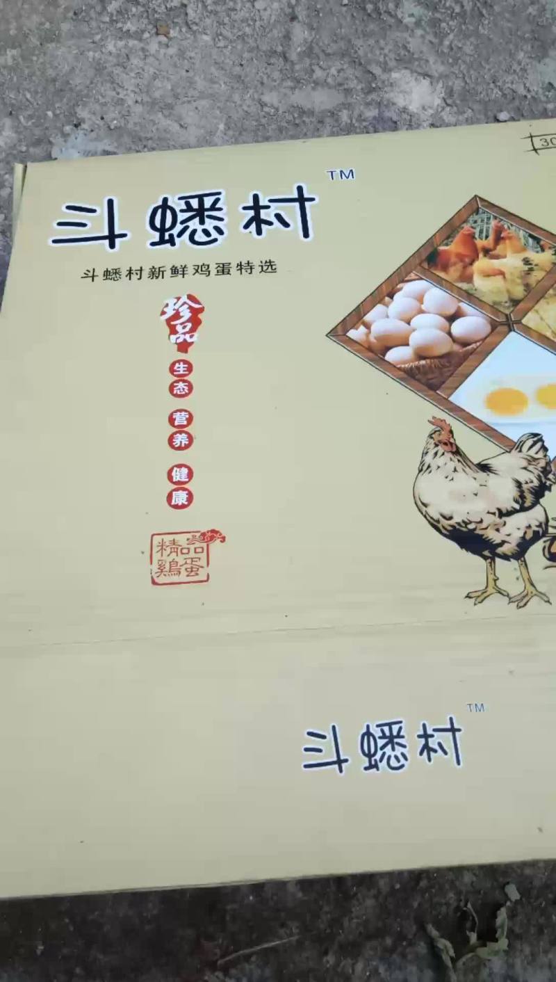 斗蟋村牌无抗鸡蛋