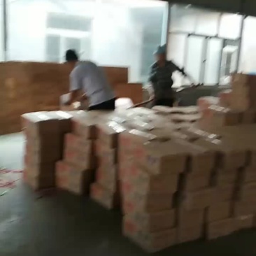 虾皮加工中心