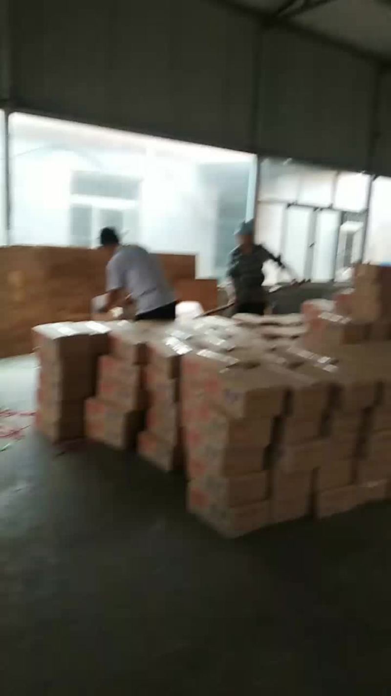 虾皮加工中心