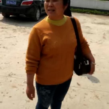 三元猪，长白，良杂，二元种猪，太湖种猪，苏太种猪等