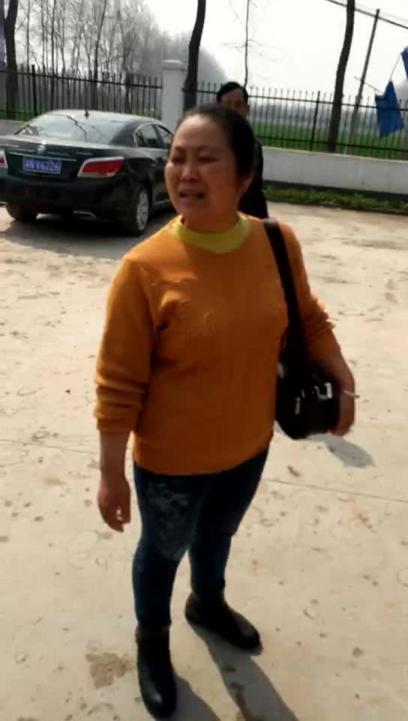 三元猪，长白，良杂，二元种猪，太湖种猪，苏太种猪等