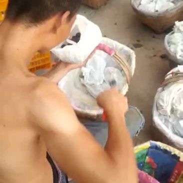 巨峰葡萄上市了