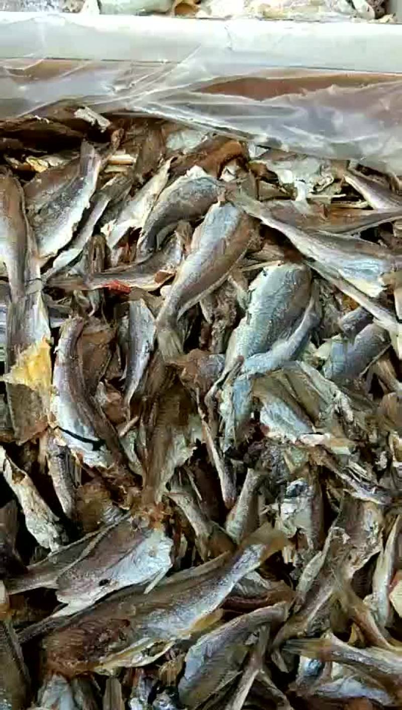 香稣黄花鱼，一箱十斤，280