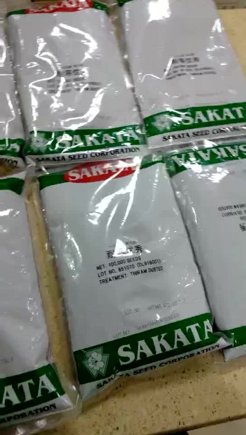 栽苗器