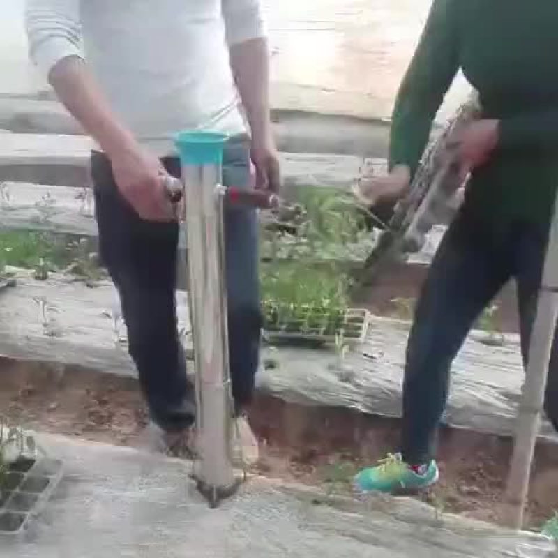 栽苗器