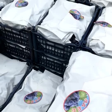 代发代收，全国个地，各种水果以诚信经营，以质量回报客户，
