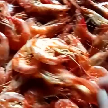 烤干对虾，干度好，不咸，十斤包邮，