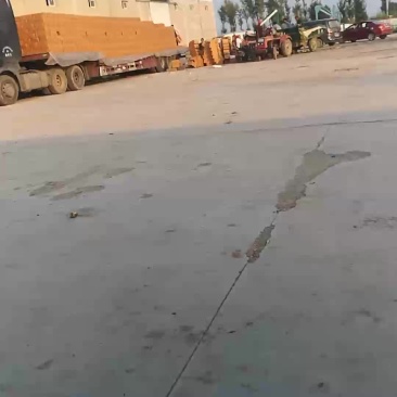 哈密瓜