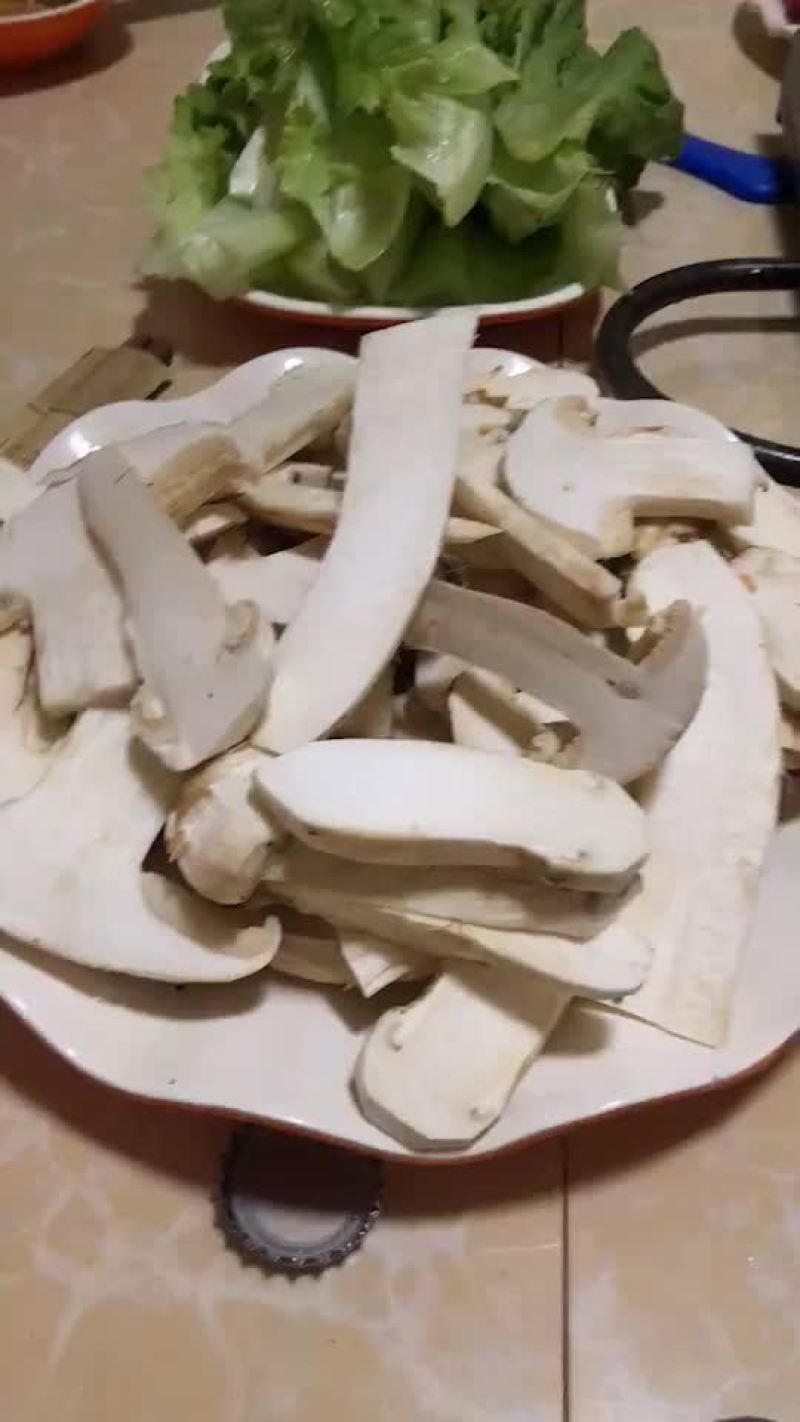 松茸干片