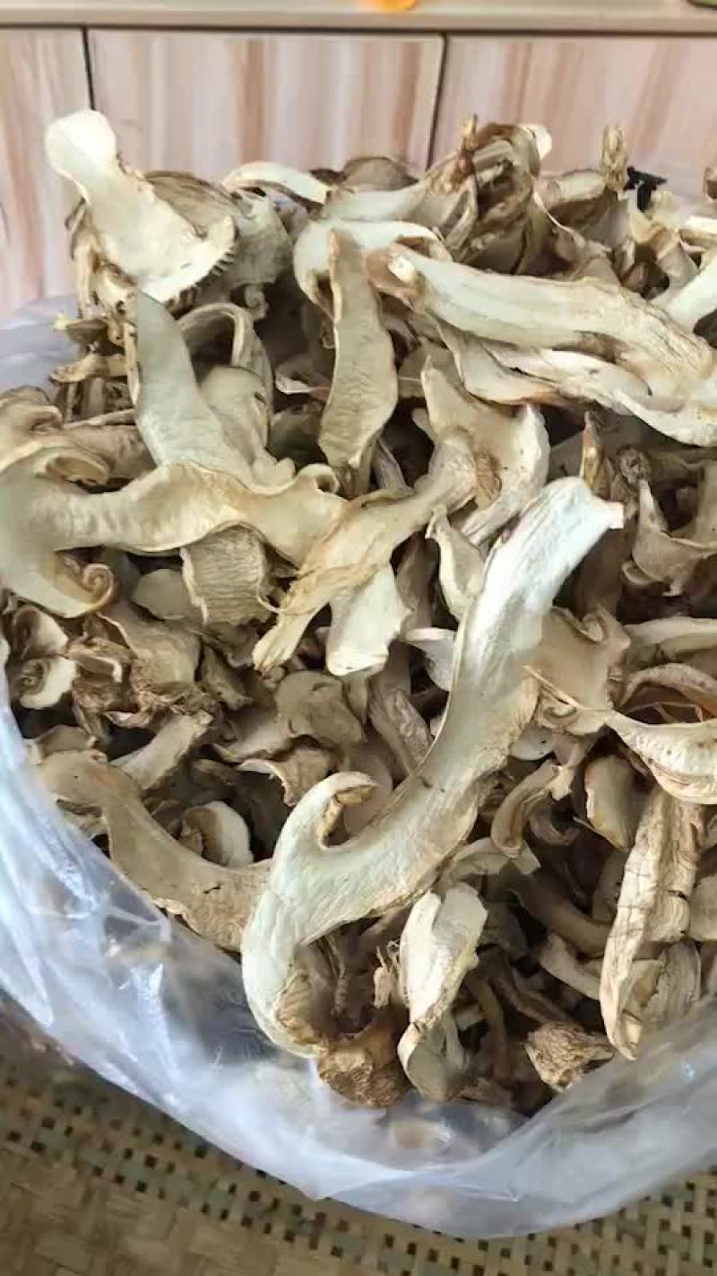 松茸干片