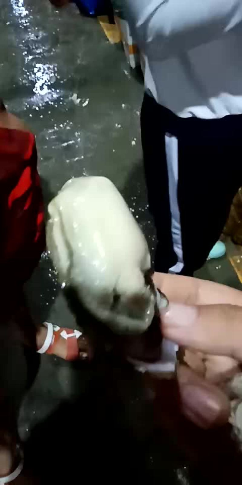 牡蛎