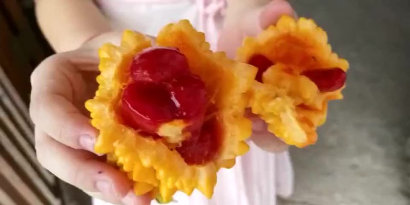 金铃子三两一个