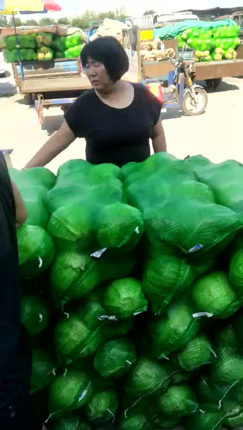 精品小铁头园菜