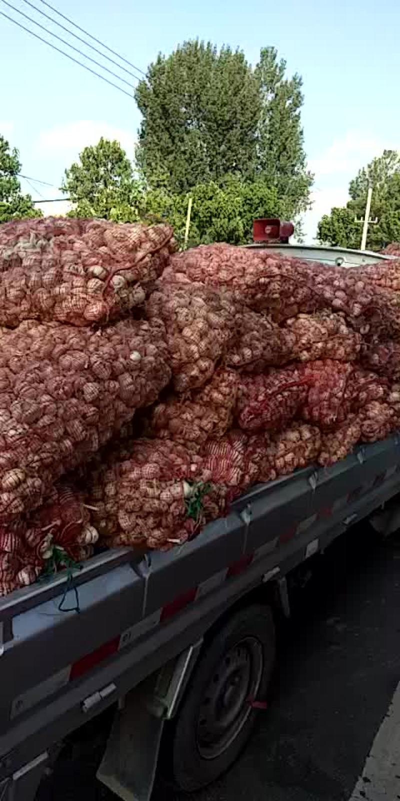 脱水蒜瓣厂料