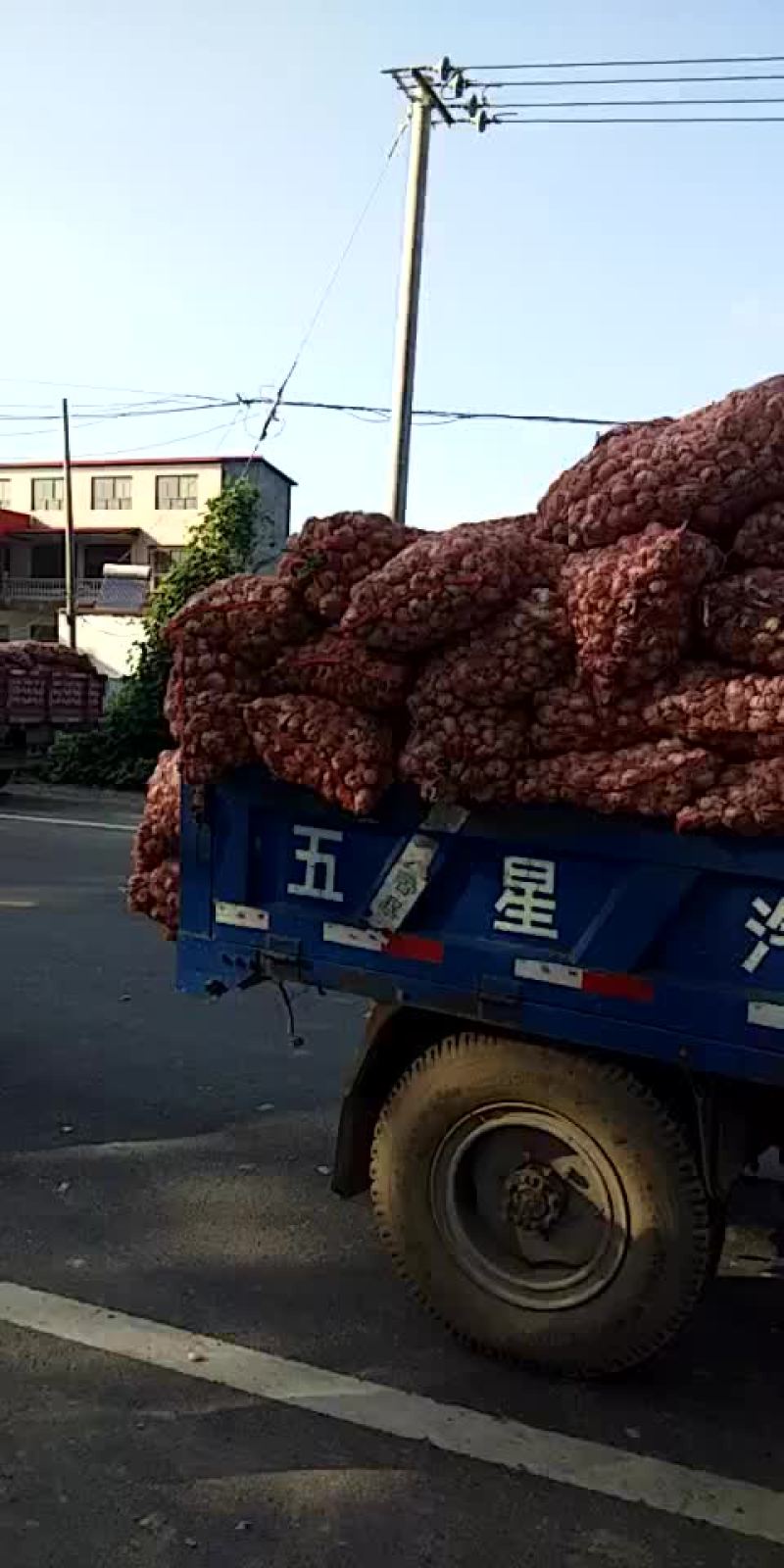脱水蒜瓣厂料