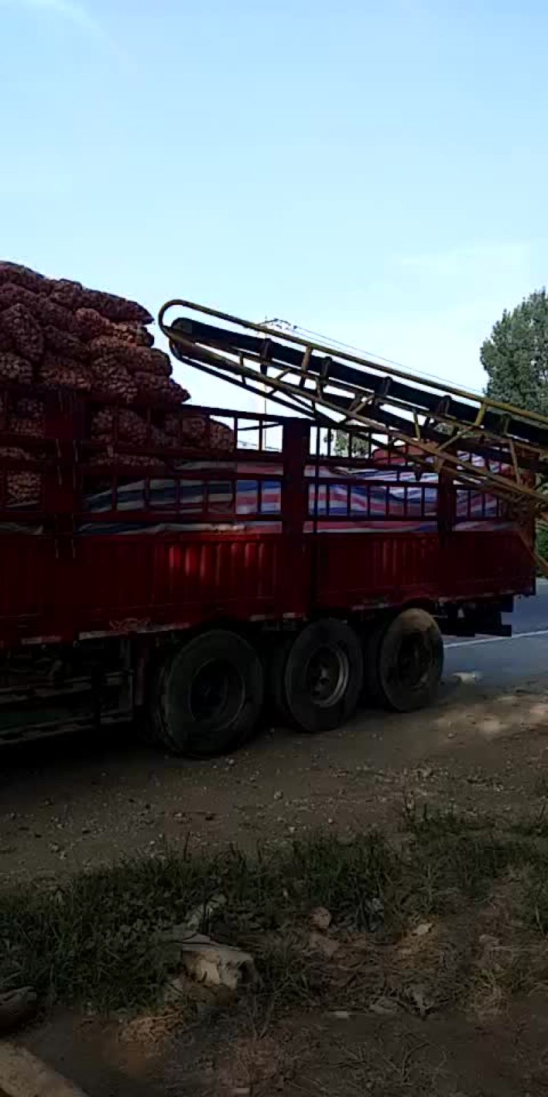 脱水蒜瓣厂料