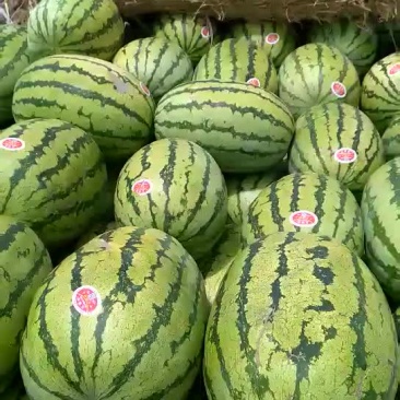 长瓜