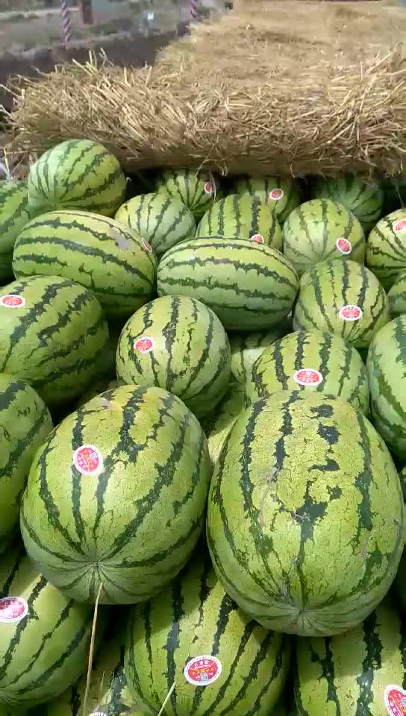 长瓜