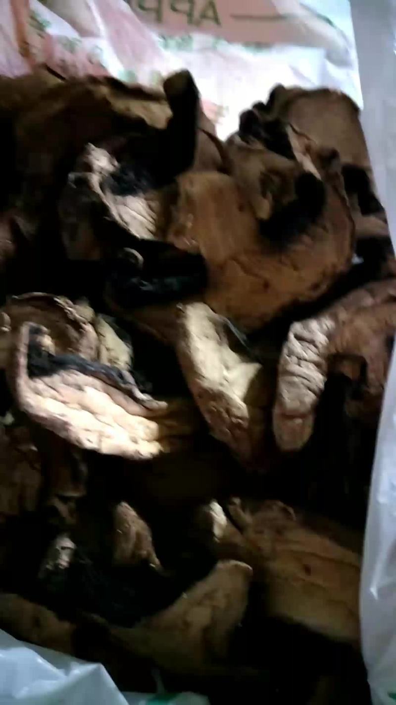 牛肝菇